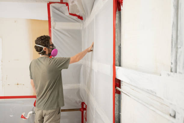 Best Crawl Space Mold Remediation  in Anahola, HI