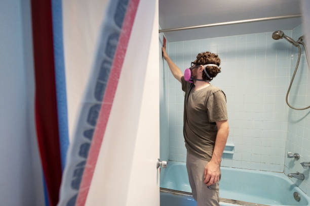 Best Emergency Mold Remediation  in Anahola, HI