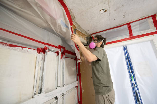 Mold Documentation for Insurance Claims in Anahola, HI