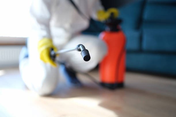 Best Mold Removal for HVAC Installations  in Anahola, HI